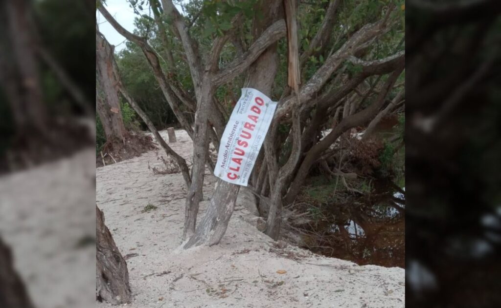 Imagen de WhatsApp 2025-11-17 a las 10.27.43_ae16211f