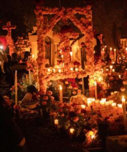 WhatsApp Image 2025-11-01 at 12.04.35