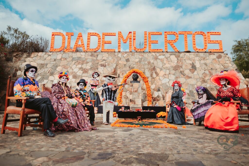 WhatsApp Image 2025-11-01 at 15.50.34