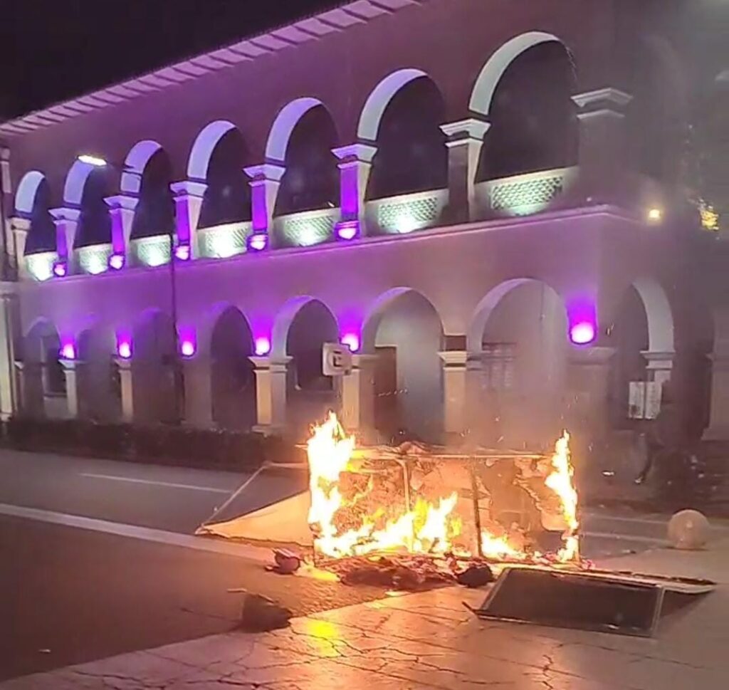 WhatsApp Image 2025-11-04 at 11.49.38