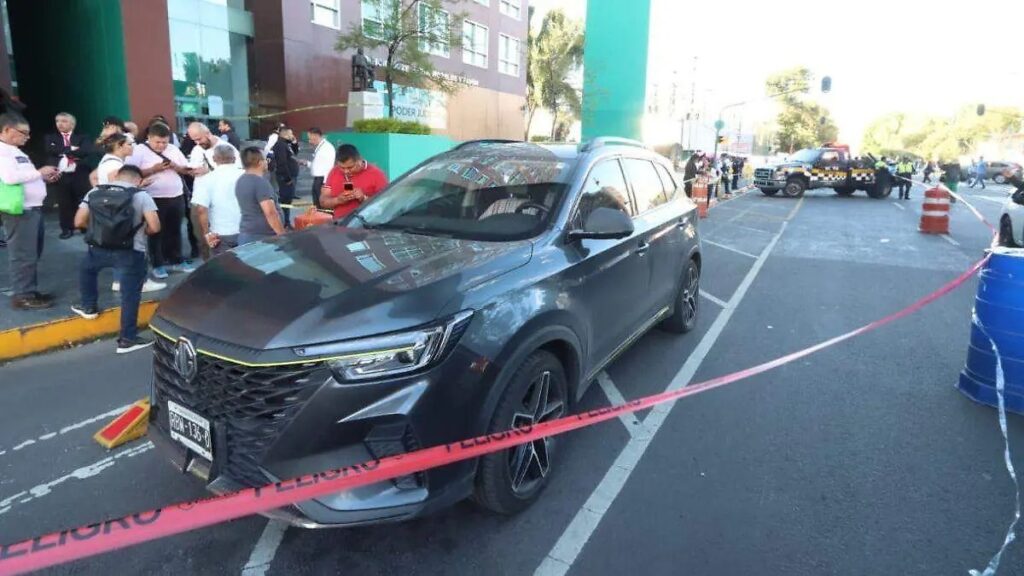 WhatsApp Image 2025-11-27 at 11.13.13