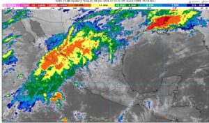 WhatsApp Image 2025-12-04 at 08.01.32