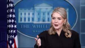 WhatsApp Image 2025-12-12 at 09.47.40