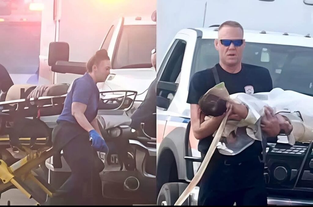 WhatsApp Image 2025-12-23 at 10.49.13