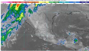 WhatsApp Image 2025-12-27 at 08.43.34