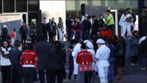 WhatsApp Image 2026-01-02 at 11.53.04