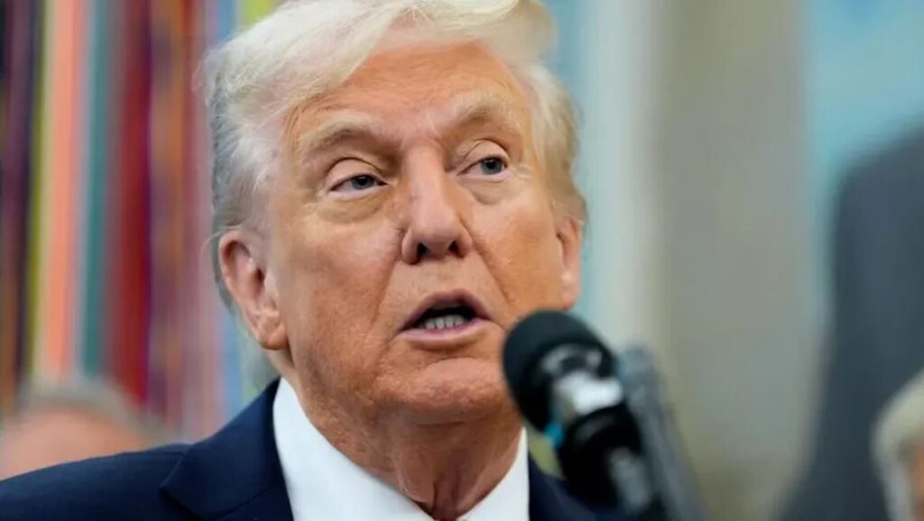 WhatsApp Image 2026-01-03 at 11.20.52