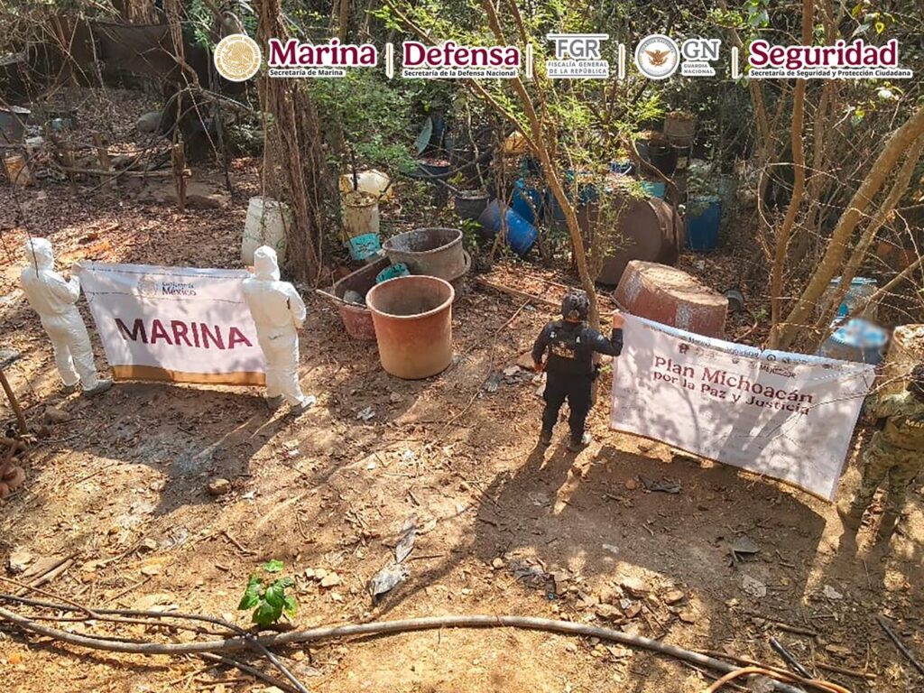 WhatsApp Image 2026-01-12 at 08.53.07