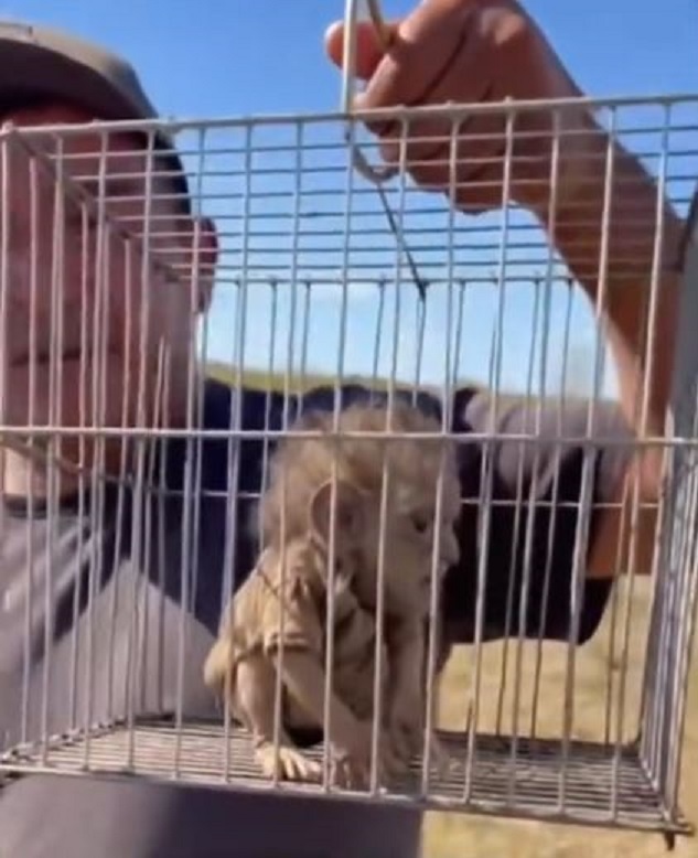 WhatsApp Image 2026-01-17 at 21.39.22