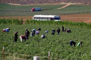 WhatsApp Image 2026-01-19 at 13.08.27