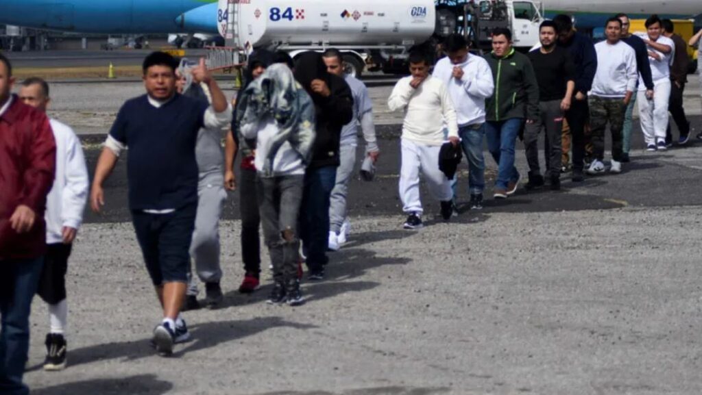 WhatsApp Image 2026-01-22 at 08.12.46