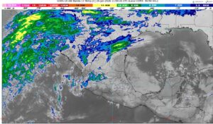 WhatsApp Image 2026-01-29 at 08.25.02