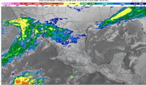 WhatsApp Image 2026-02-04 at 07.45.04 (1)