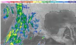 WhatsApp Image 2026-02-07 at 07.48.00