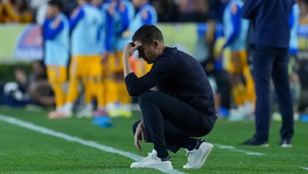 WhatsApp Image 2026-02-07 at 13.24.27