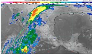 WhatsApp Image 2026-02-09 at 08.20.43