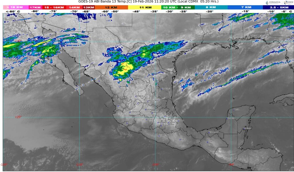 WhatsApp Image 2026-02-19 at 08.02.20