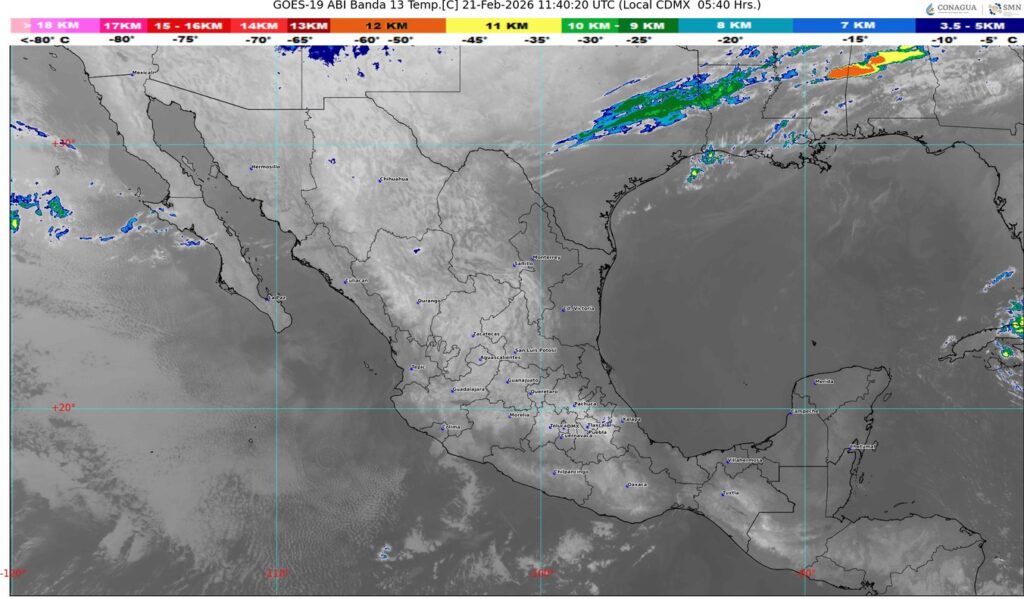 WhatsApp Image 2026-02-21 at 07.23.56