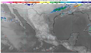 WhatsApp Image 2026-02-21 at 07.23.56