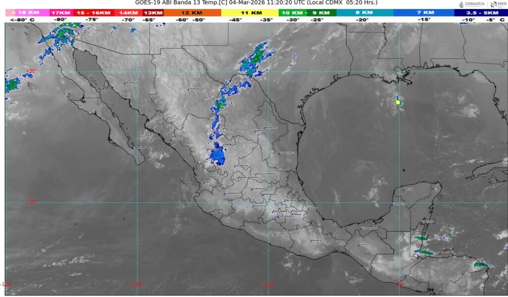 WhatsApp Image 2026-03-04 at 08.04.15