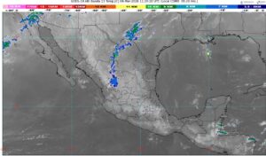 WhatsApp Image 2026-03-04 at 08.04.15