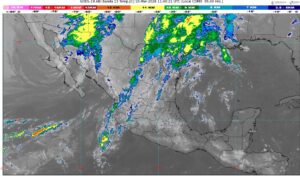 WhatsApp Image 2026-03-10 at 07.48.06