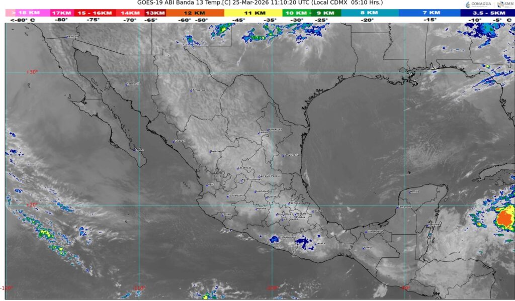 WhatsApp Image 2026-03-25 at 07.56.03