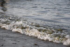 WhatsApp Image 2026-03-27 at 09.32.58