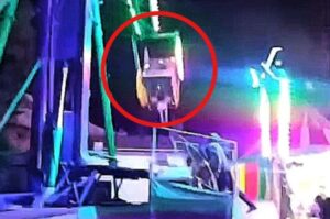 WhatsApp Image 2026-04-04 at 11.18.07