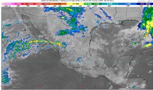 WhatsApp Image 2026-04-07 at 07.42.06