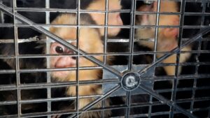 WhatsApp Image 2026-04-07 at 10.45.45