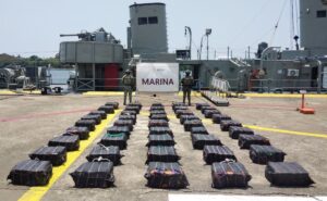 WhatsApp Image 2026-08-17 at 12.40.01